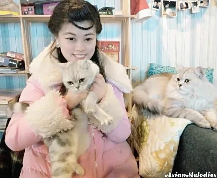 Guoshu, 28
